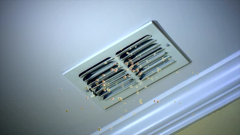 Best HVAC Maintenance and Cleaning  in Truman, MN