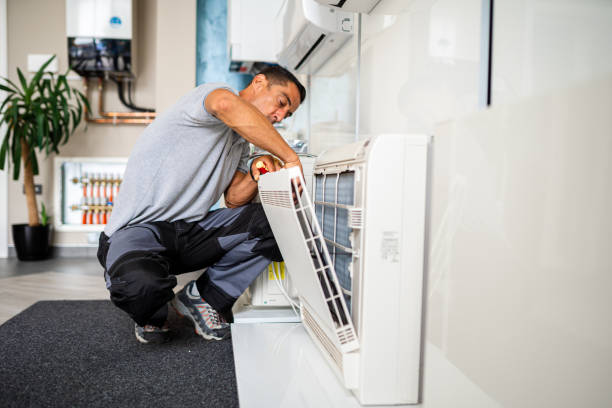 Best Local Air Duct Cleaning Services  in Truman, MN