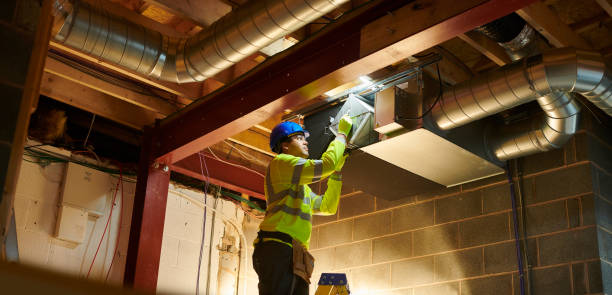 Best Commercial Air Duct Cleaning  in Truman, MN