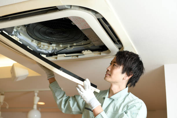 Best HVAC Duct Inspection Services  in Truman, MN