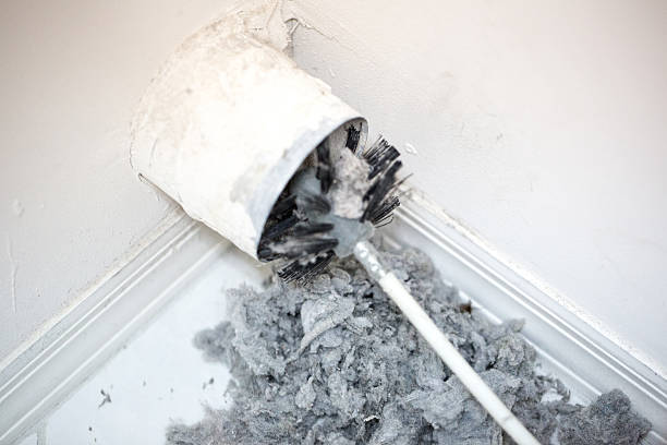 Best Duct Cleaning for Homes  in Truman, MN