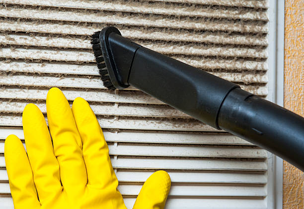 Best Professional Duct Cleaning Services  in Truman, MN